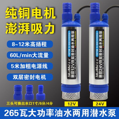 匠驰新款大功率抽油泵抽水泵12V24V点烟器款220V大功率不锈钢265W