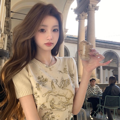 你的懒懒llan重工刺绣短袖上衣