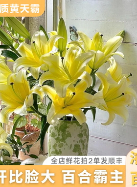 黄天霸百合花鲜花黄色香水百合康乃馨云南基地直发家用插瓶水养花