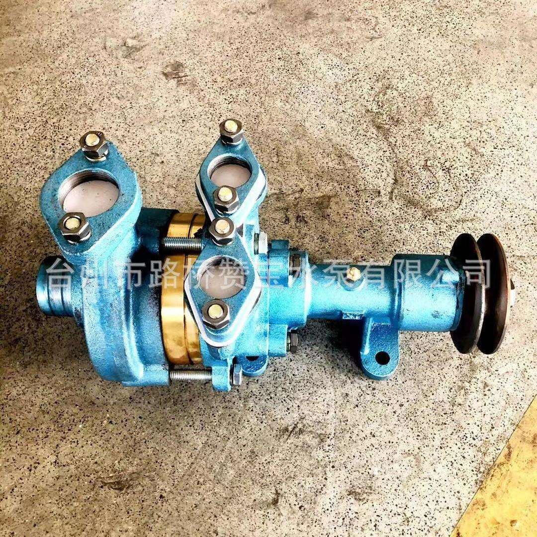 组合泵 海水泵船用水泵