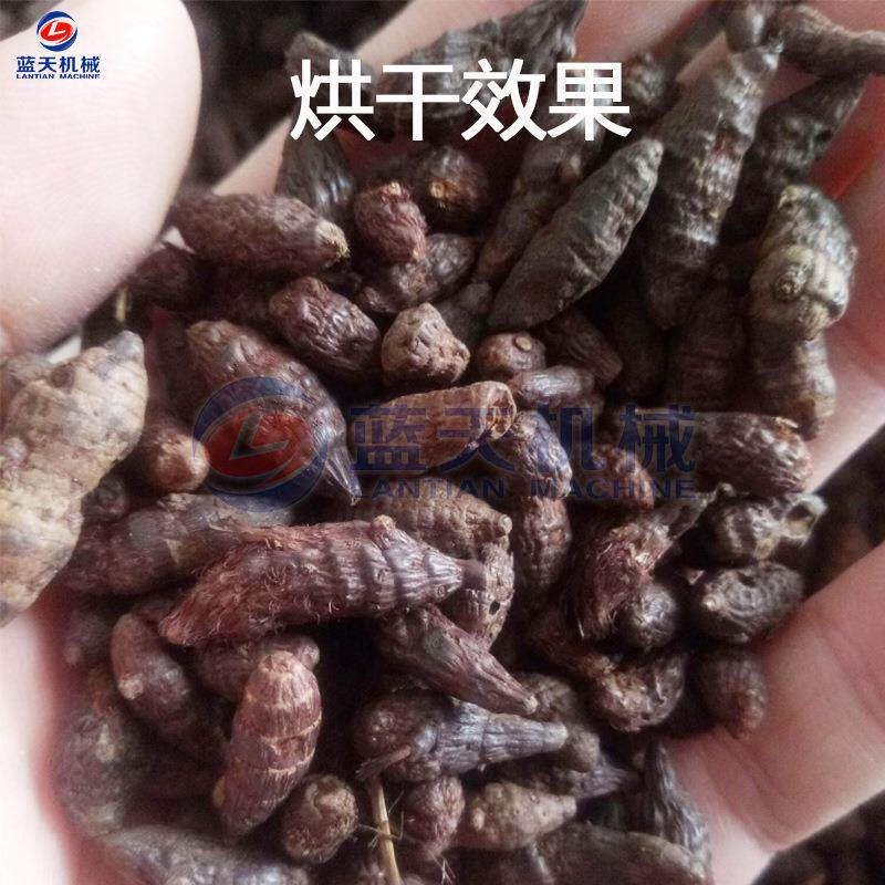 附子烘干机 附子切片干燥设备 黑魔芋片干付片四川江油附子烘烤房