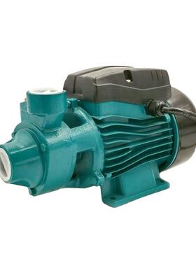 QB60QB70QB80220V小型家用园林灌溉泵清水泵旋涡泵浙江东南亚