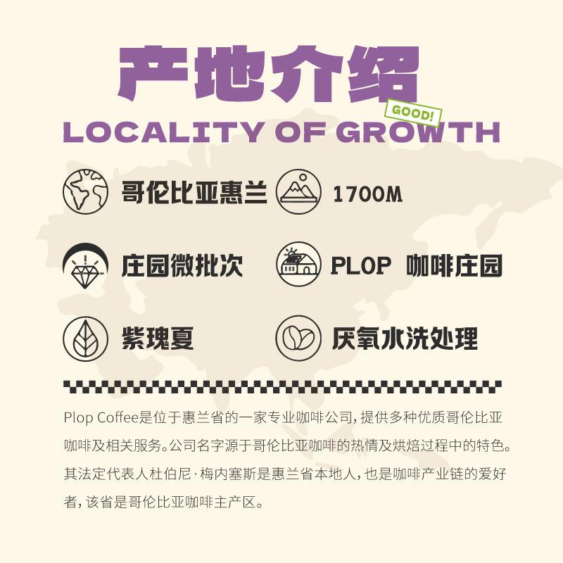 咖臣紫瑰夏虹屿手冲冰滴虹吸壶法压壶精品咖啡豆150g