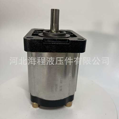 CBTt-F330F 左旋 E571001 20Mpa 单联液压泵