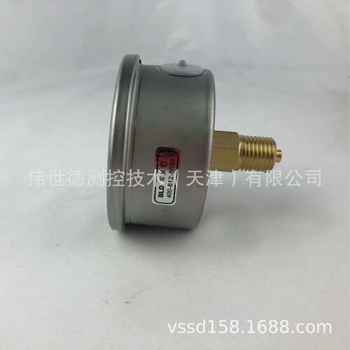 源头供货布莱迪BLD耐震防腐压力表 YTN-63.ZO半钢铜接头25bar/psi
