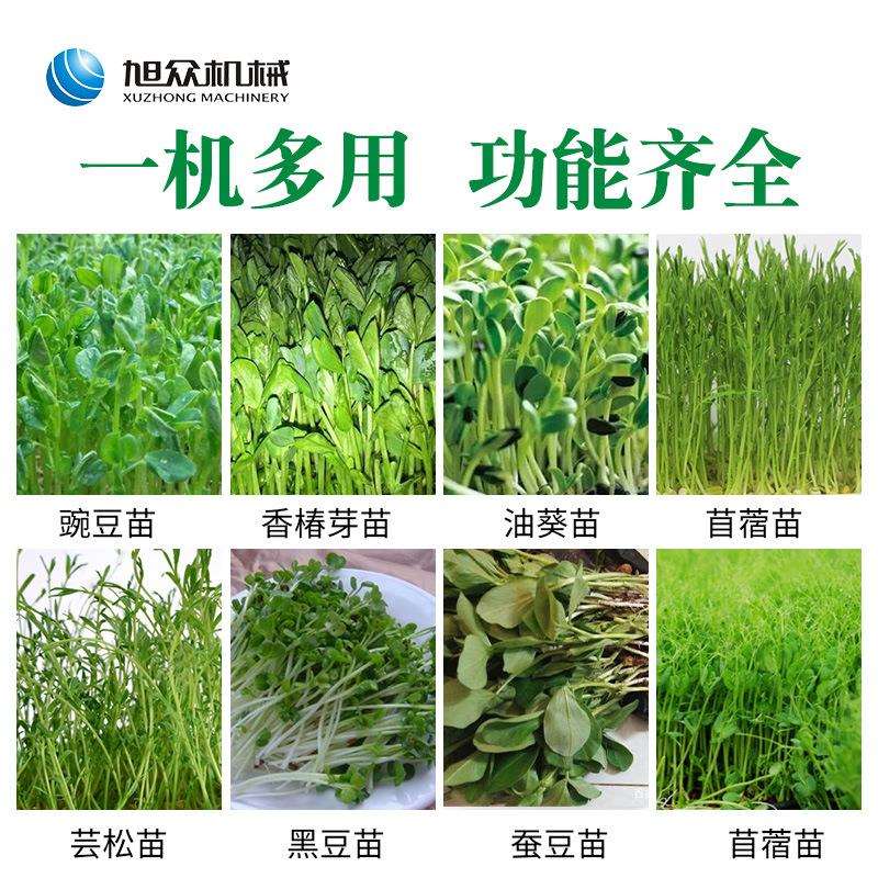 旭众全自动芽苗机商用豆芽花生芽自动恒温淋水培育花生芽机器厂家