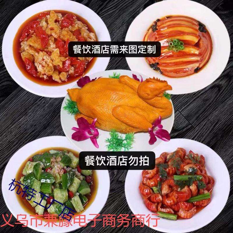 菜品模型仿真菜食品模型假菜样品拍摄视频表演美食道具假菜仿真