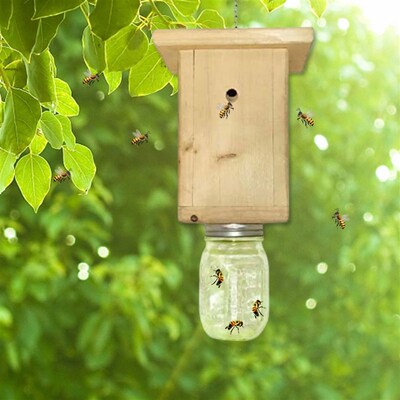黄蜂蜜蜂诱捕器木制飞虫蜜蜂诱捕器 Wooden Carpenter Bee Trap