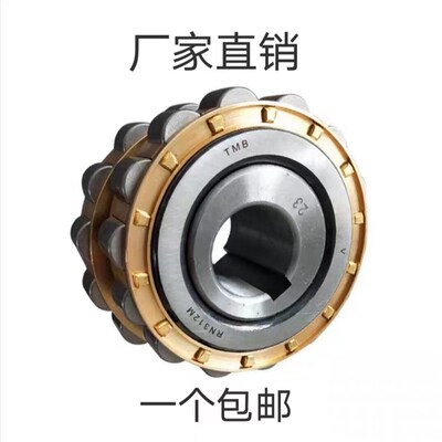 摆线针减速机偏心轴承RN205 RN206 RN307 RN309 RN312M