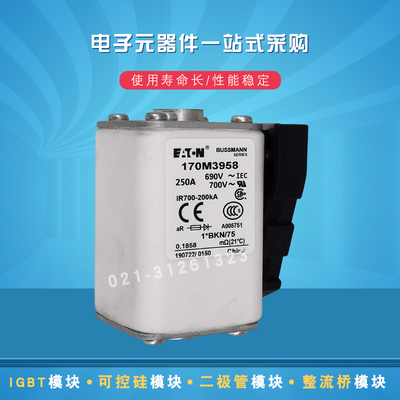 伊顿快速熔断器保险丝170M3462 3463 3464 3465 3466 3467 3468