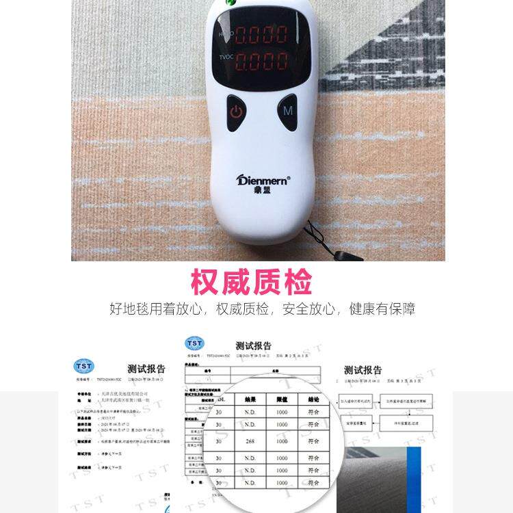 北欧地毯客厅2025新款现代简约卧室房间全铺茶几沙发床边地垫满C&