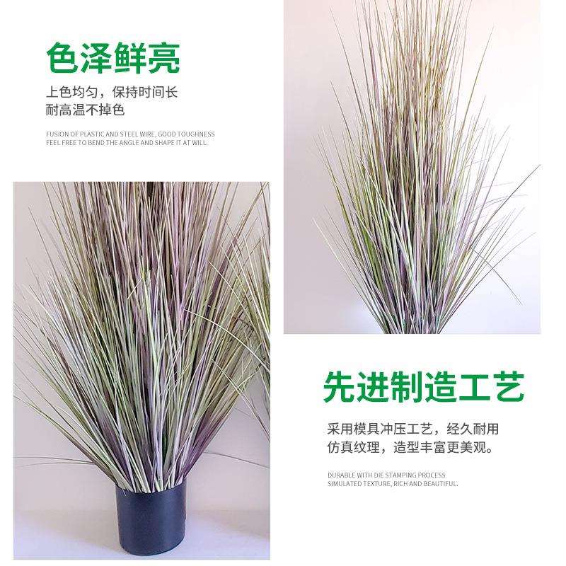 洋葱草装饰品干草仿真草绿植造景饰品绿植植物仿真洋葱草盆栽摆件
