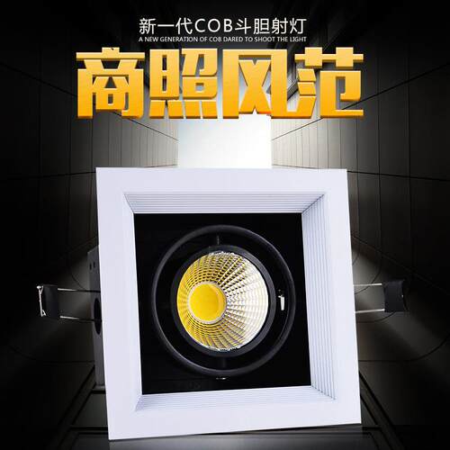 cob斗胆灯led豆胆灯格栅射灯方形单头两头双头射灯筒灯15w中性光