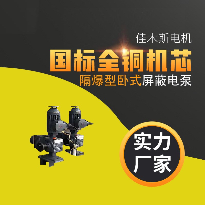 佳木斯电机马达PBGW隔爆型高温高压电机卧式屏蔽电泵132kw220kw