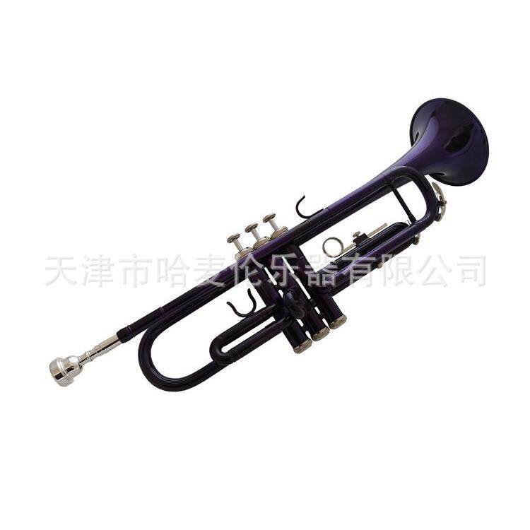 厂家销售哈麦伦彩色小号乐器降B调紫色铜管吹奏专业演奏初学乐队