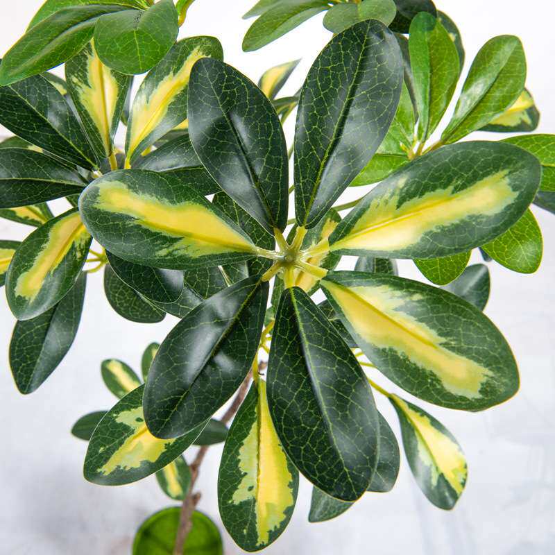 造型仿真绿植鸭脚木客厅盆栽绿植室内大型假植物办公落地花叶阳台