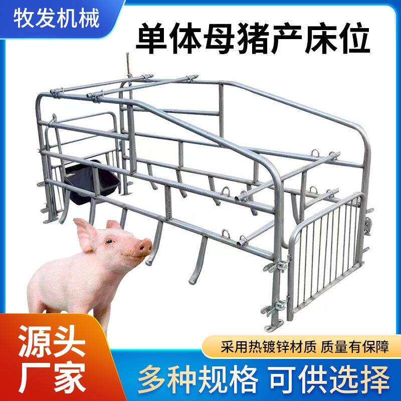 单体母猪产床位新款热镀锌管母猪产床分隔围栏现货供应母猪产床位