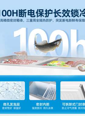 北极熊一级节能428/528L冷冰柜商家用大容量冷藏冷冻保鲜省电两用