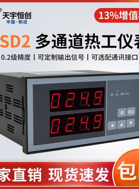 天宇恒创XSD2多通道数字式显示仪表 双通道4-20mA变送 RS485通讯