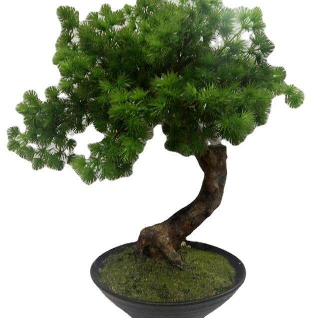 迎客松盆景小树仿真植物摆件家居办公室玄关软装盆栽装饰摆设
