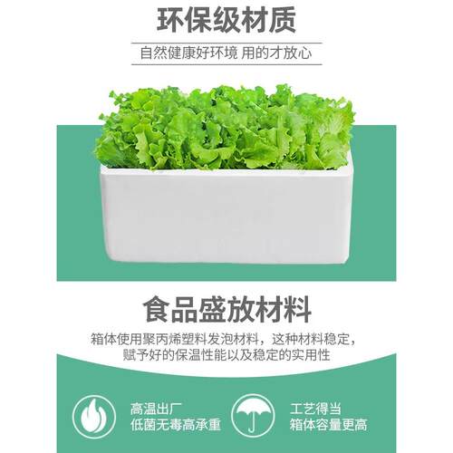 大泡沫箱1-2-3号大号特大号泡沫箱子牛羊肉箱种菜海鲜箱素材保温