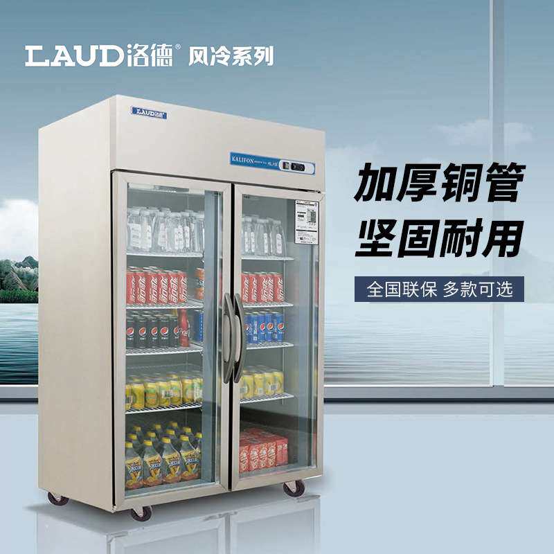 洛德冷藏陈列柜 风冷无霜展示柜 酒店后厨高身雪柜铜管立式冰箱