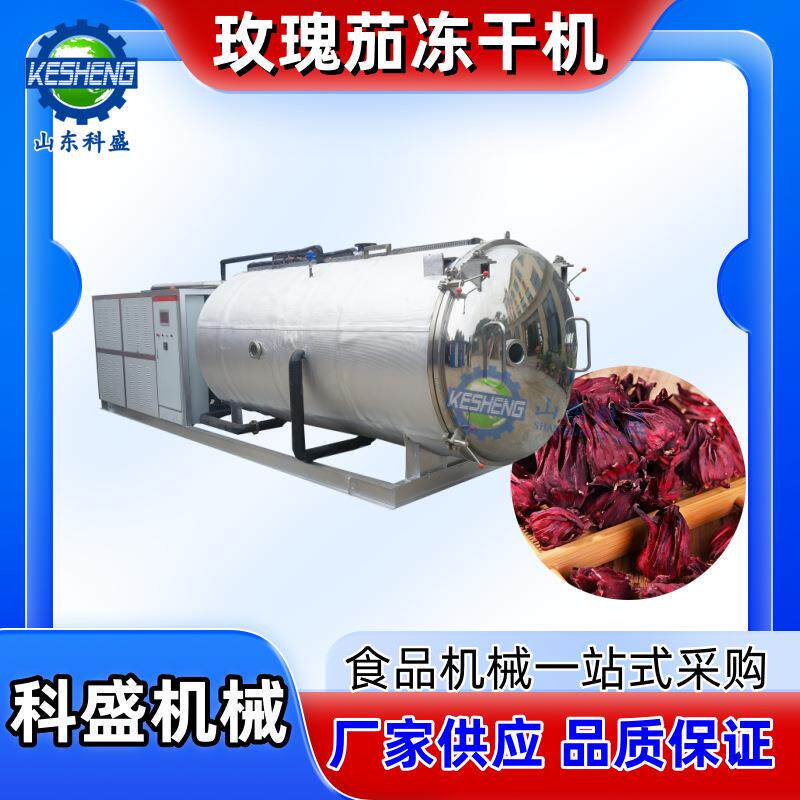 洛神花冻干机 玫瑰茄冻干设备 桂花真空冷冻干燥机 真空冻干机