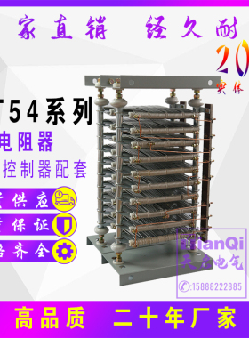 电阻器RT54-160L-6/1B 160M1-6/1 132 180 200起重 立新 RK54 RZ