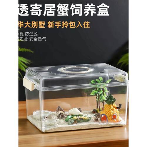 寄居蟹饲养盒子高透手提套装大别墅螃蟹饲养箱乌龟饲养缸桌面