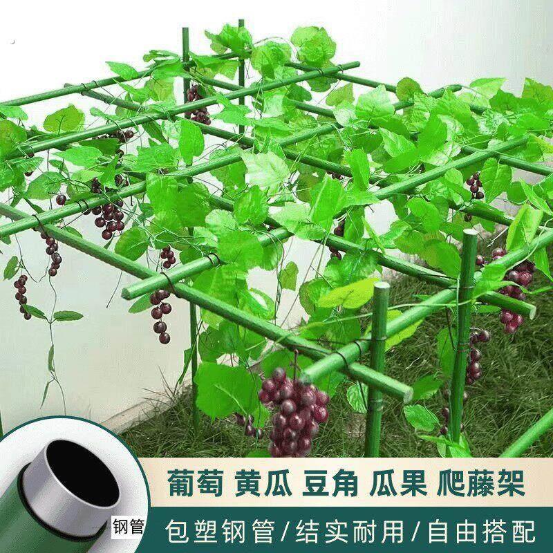 庭院户外葡萄架百香果专用爬藤架子立柱式牵引架奇异果南瓜葫芦架