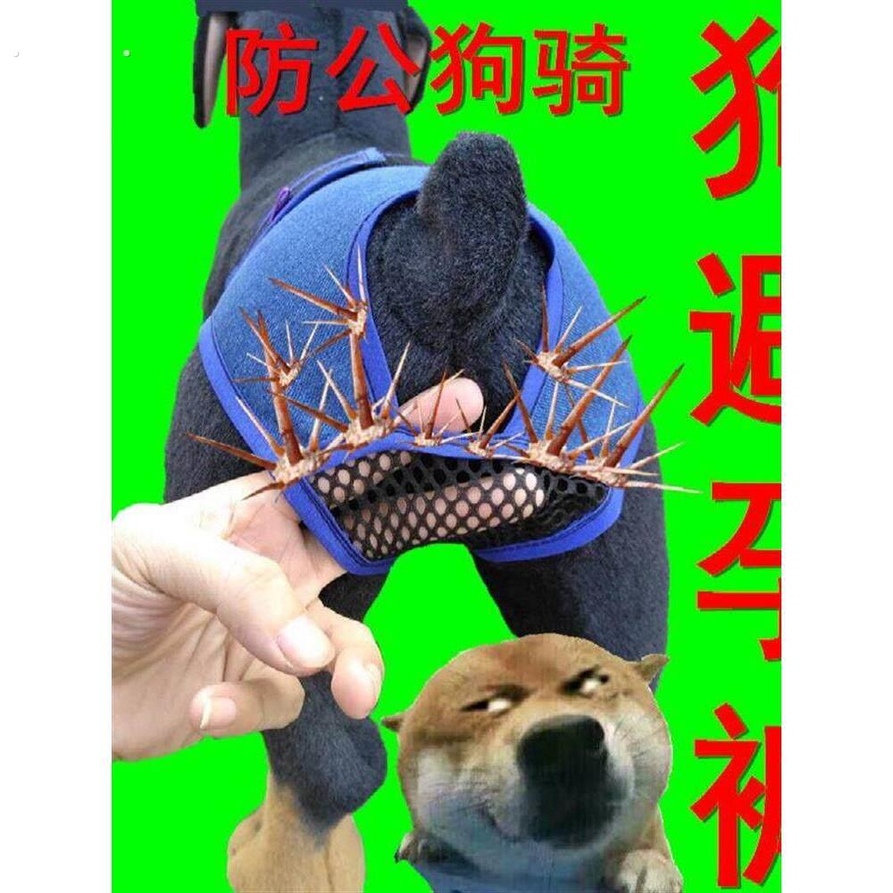 母狗防交配神器狗发情裤防交配裤避孕裤狗狗生理裤可排泄裤防骚扰