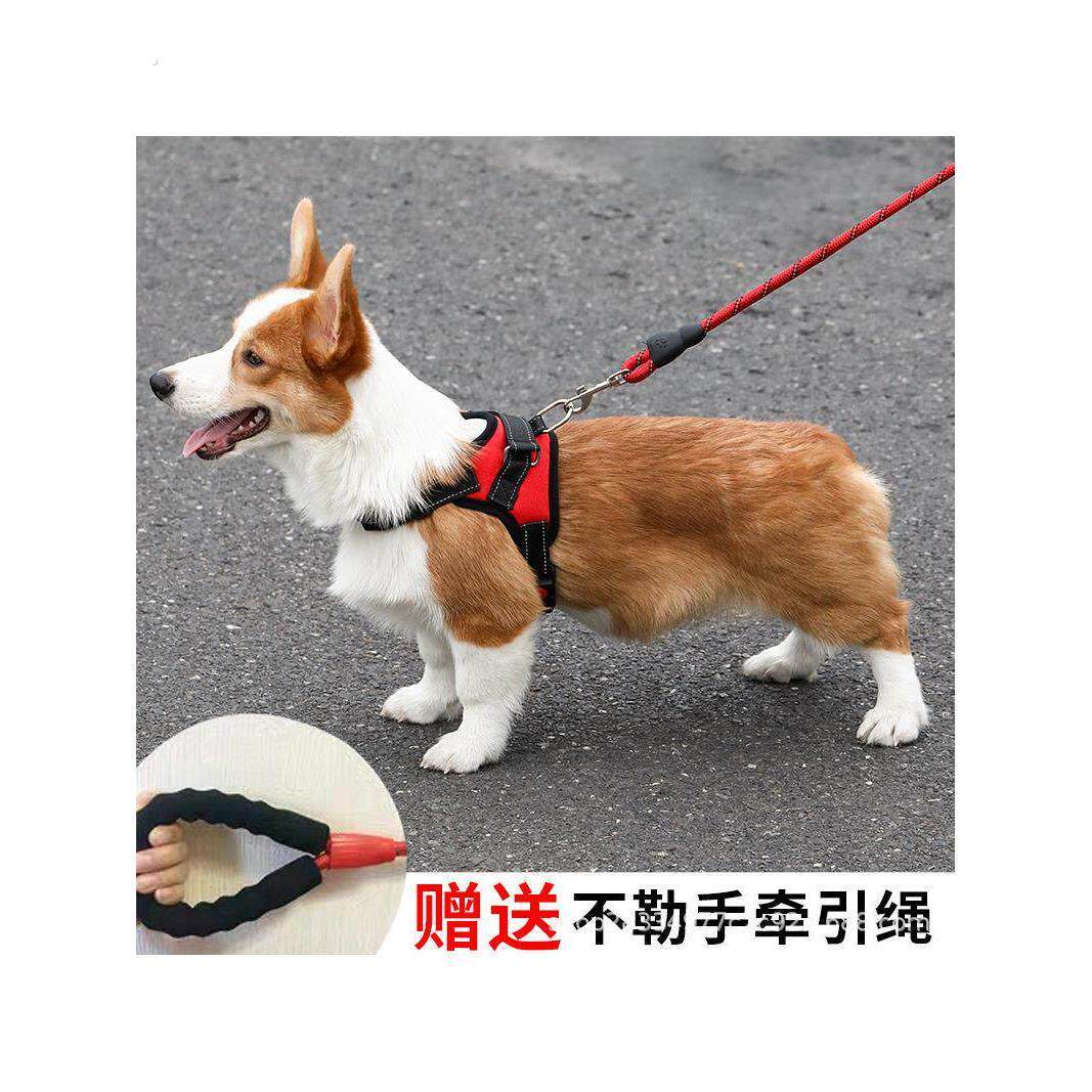 狗狗牵引绳背心式遛狗绳子泰迪法斗柯基中型小型犬宠物用品胸抱婴