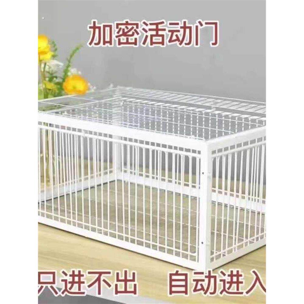 祇进不出鸟笼全自动天落笼子撞门捕捉抓收鸽子神器捕笼器加密款