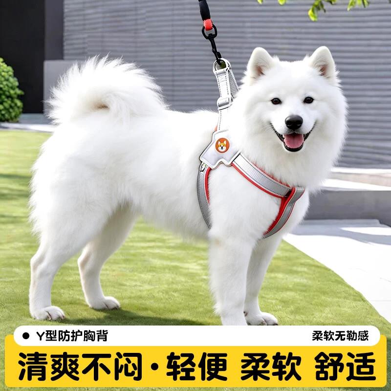 新款狗狗牵引绳马鞍式胸背带透气反光不勒牢固小中大型犬宠物用品