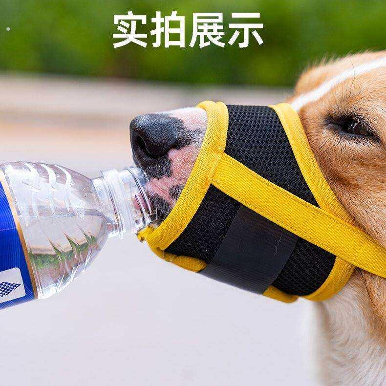 狗狗嘴套防咬防叫好物防舔乱啃口罩幼犬柯基泰迪护嘴套狗嘴护套
