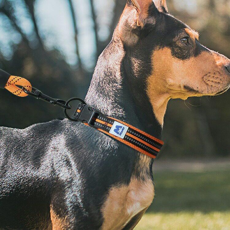 狗狗项圈狗圈小型犬脖圈大型犬颈圈防勒中型泰迪宠物用品狗
