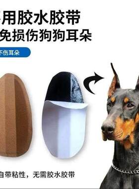 马犬专用狗狗立耳器杜宾德牧辅助立耳神器幼犬竖耳撑耳朵固定器