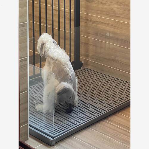 方便易清洁平板狗厕所大号大型犬小型犬通用中型防滑狗尿宠物冲水