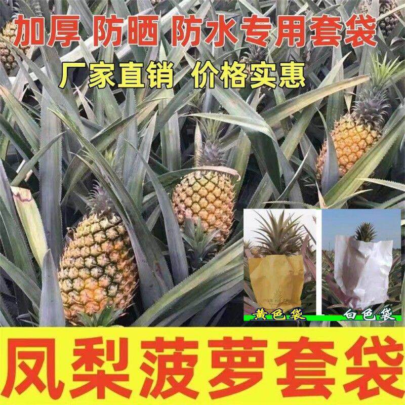 凤梨专用套袋防虫菠萝牛皮纸袋子通用防雨防晒透气加厚保护套风梨