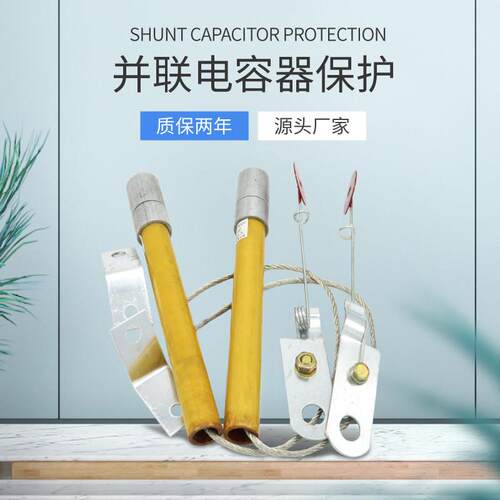 BRN BR2 BRW-10-12KV高压并联电容器用30A40A50A70A熔断器保险丝