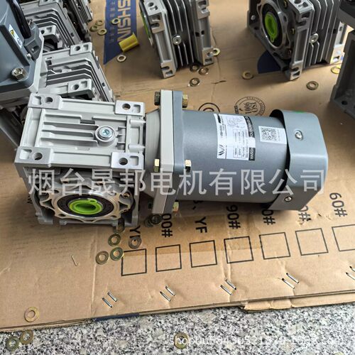 NMRV蜗杆减速电机IK单相220V