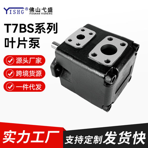 高压叶片泵T7BS-B08 09 10 11 12 14 15 17 20-3R00-A100挖掘机