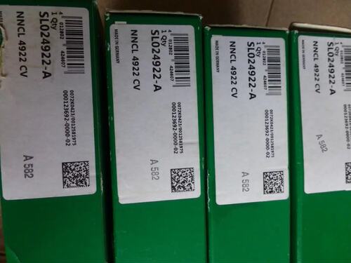 INASL024922双列满滚珠轴承