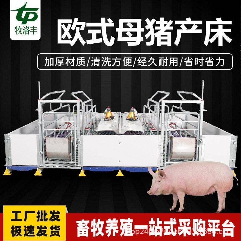 热镀锌加厚2.5全欧式母猪产床牧洛丰养殖场用母猪分娩床pvc隔板