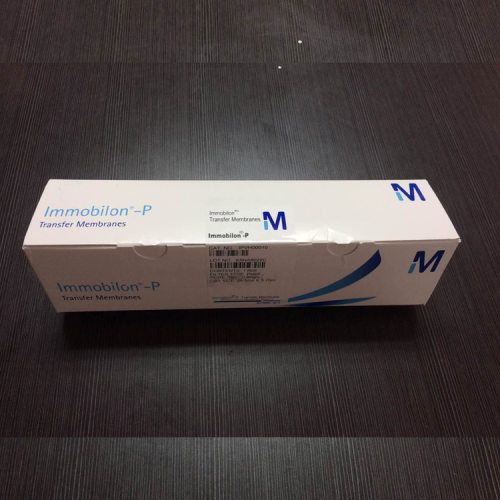 密理博PVDF转印膜0.45um