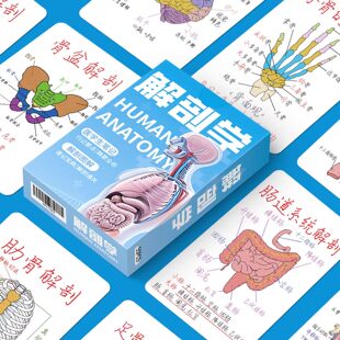 110张解刨学小卡人体消化系统心脏脊椎大脑神经结构医学知识卡片