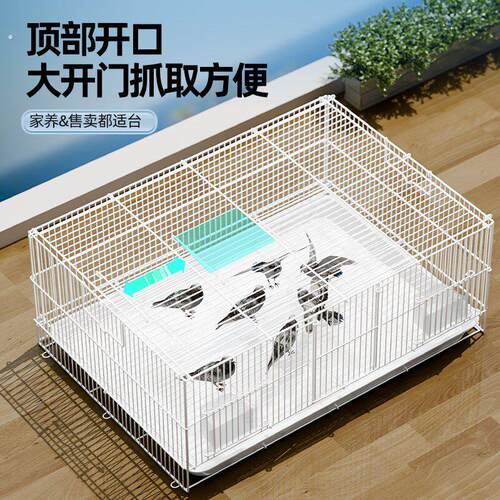 鸽子笼子专用笼养鸽家用繁殖笼配对笼大号新型养殖笼鸽舍运输笼子