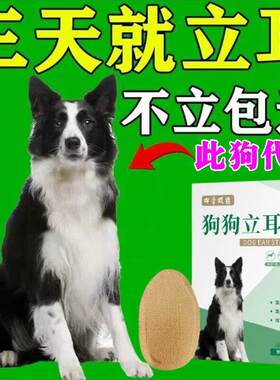 狗狗立耳神器宠物雪纳瑞杜宾德牧柯基边牧泰迪耳朵固定辅助竖耳贴