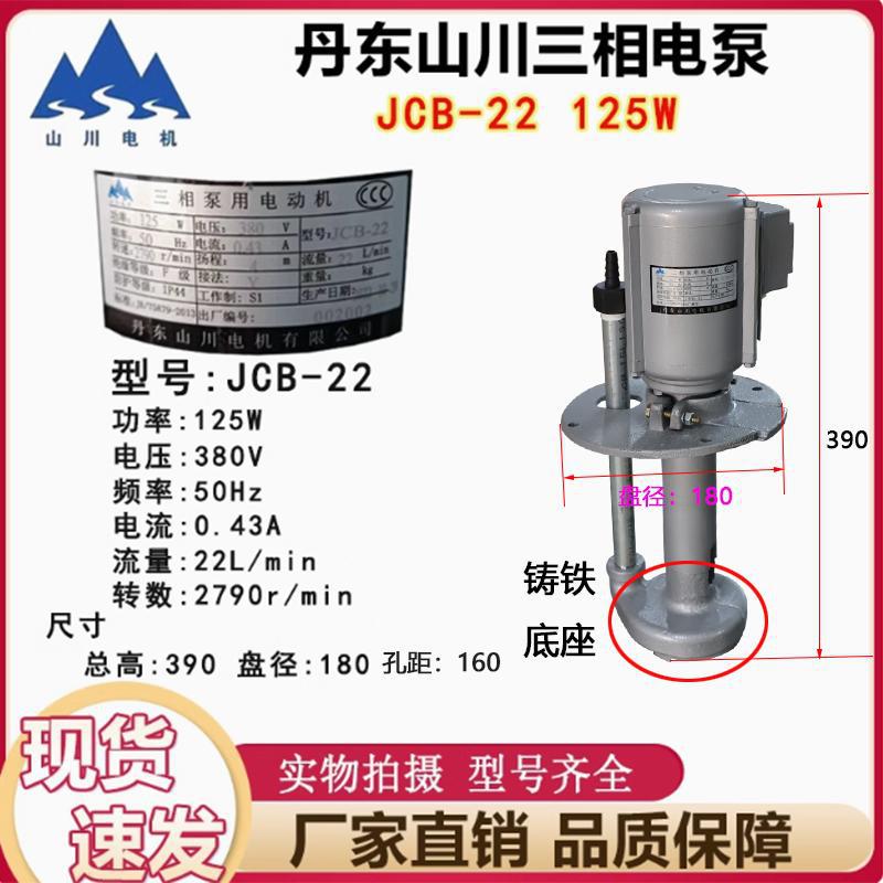 沈阳机床JCB-22三相电泵125W