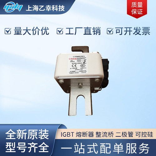 巴斯曼熔断器170M6249-6253